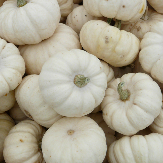 Welcoming Fall With Our Love For Pumpkins: Candles & Decor