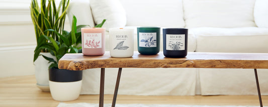 Best Ardor Bin Soy Candles To Try In 2022
